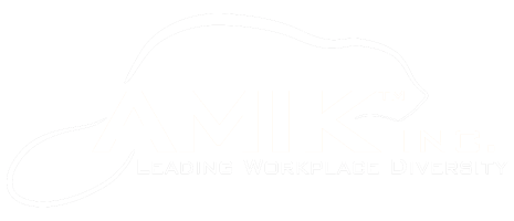 AMIK Inc logo